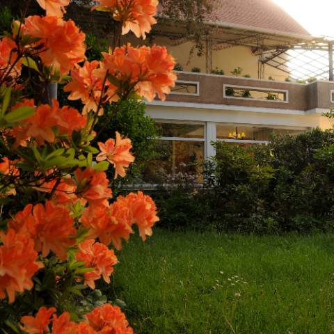 Jardin