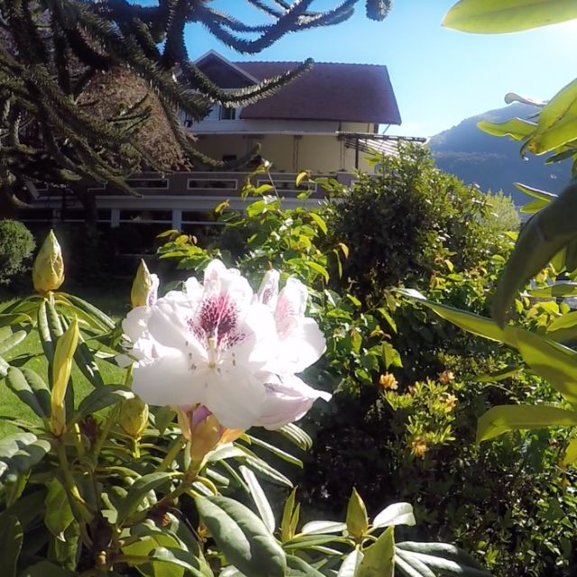 Tarifas y promociones